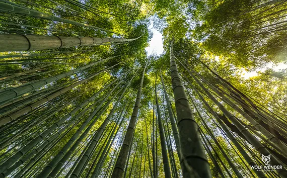 Standort der SEO Agentur in Stuttgart