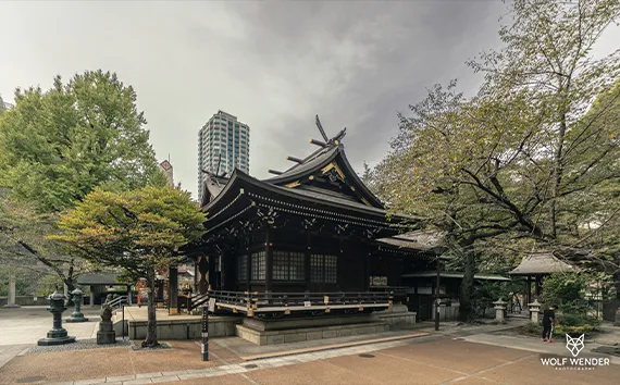 Wender Media - SEO Agentur Stuttgart