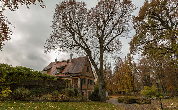 SEO Agentur Karlsruhe - Suchmaschinenoptimierung in Ihrer Nähe