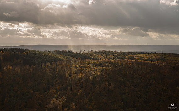 SEO Agentur Böblingen - Suchmaschinenoptimierung in Ihrer Nähe
