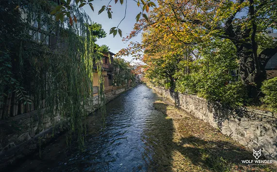 Was kostet SEO in Stuttgart? Preise, Modelle & ROI